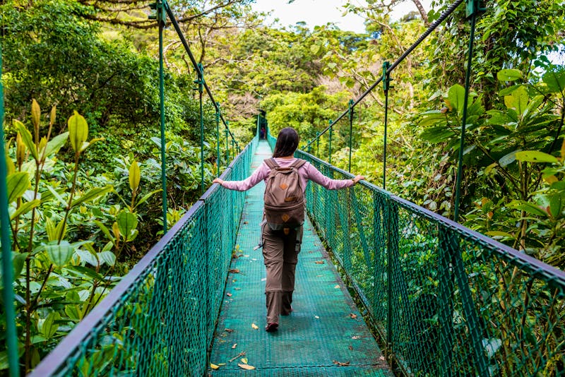 Hängebrücke in  Monteverde, Costa Rica  - ©Simon Dannhauer - stock.adobe.com