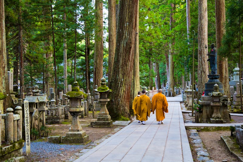 Koyasan in Wakayama, Japan - ©JULIA POSSOZ - stock.adobe.com