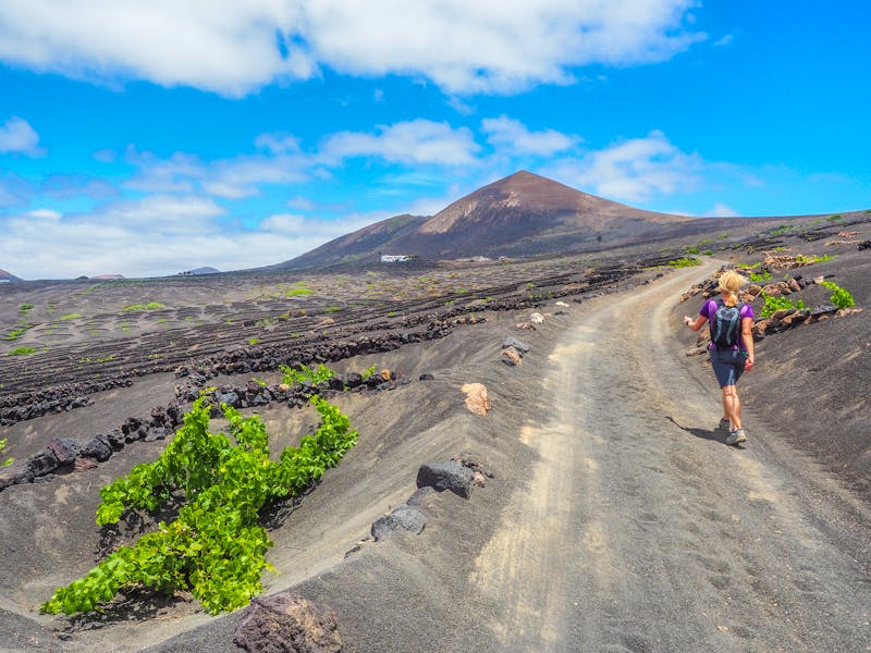 Wanderung zwischen den Weinbergen von La Geria - Lanzarote - &copy;Ina Ludwig - stock.adobe.com