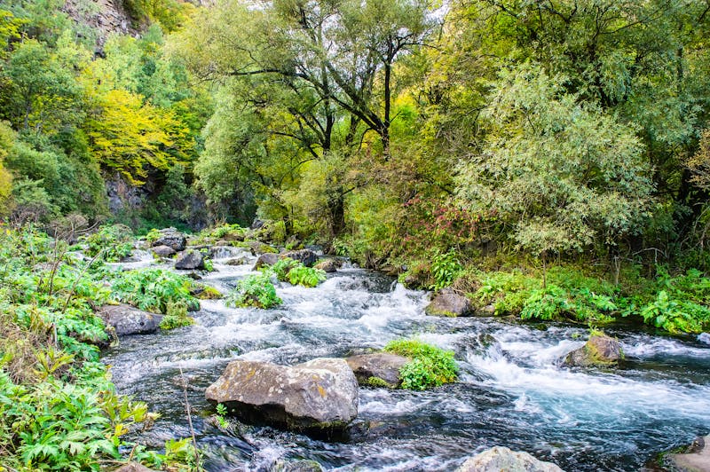 Dashbashi Schlucht in Georgien - ©Leo Viktorov - stock.adobe.com