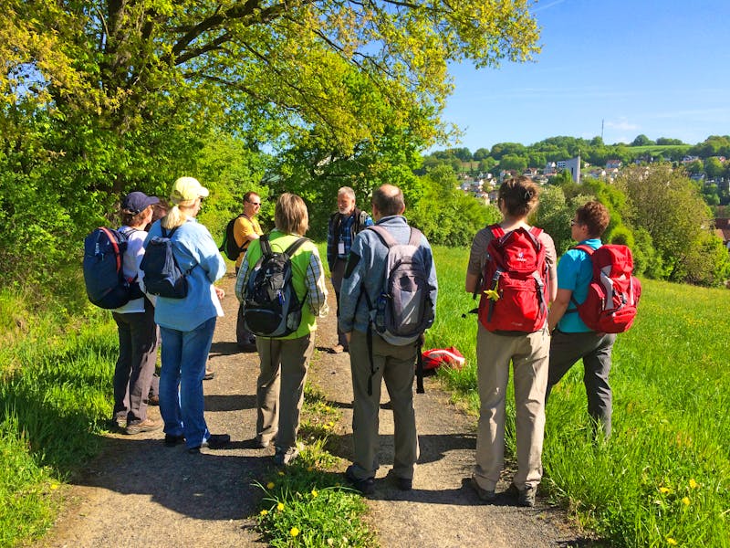 Wanderung bei Bad Soden-Salmünster - ©Hotel-Restaurant Birkenhof
