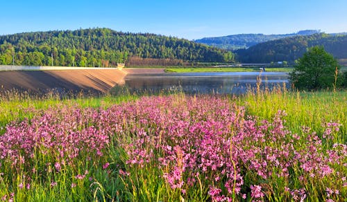 Stausee bei Bad Soden-Salmünster &ndash; &copy; Hotel-Restaurant Birkenhof