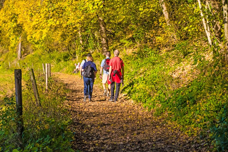 Wandergruppe im Wald - ©Klaus Brauner - stock.adobe.com