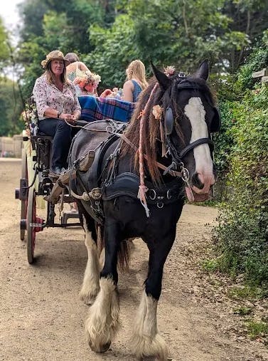 Pferdekutschfahrt auf der Insel Sark - &copy;Website - Gallery
