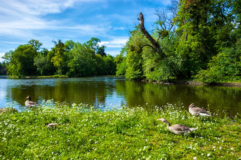 Park am Schloss Nymphenburg bei München - ©elephotos - stock.adobe.com