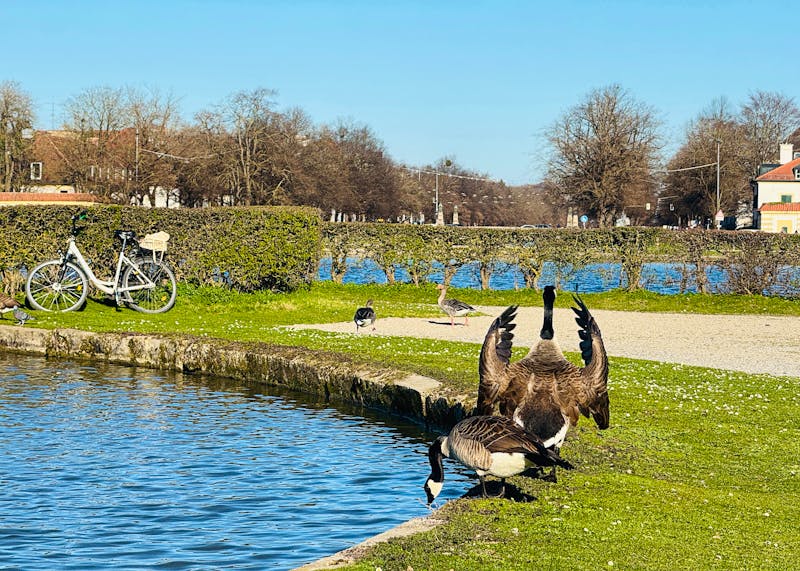 Park am Schloss Nymphenburg bei München - ©kendonice - stock.adobe.com