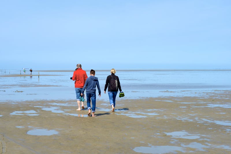 Wattwanderung an der Nordsee - ©VRD - stock.adobe.com