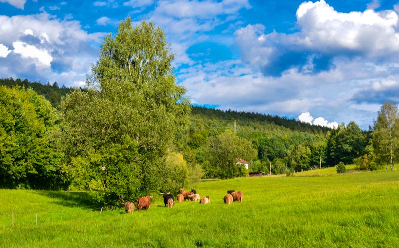 Landschaft im Hessischen Spessart - ©Ilhan Balta - stock.adobe.com
