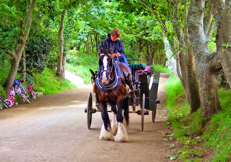 Typische Pferdekutsche auf der autofreien Insel Sark - ©Kristin Weigel - Eberhardt TRAVEL