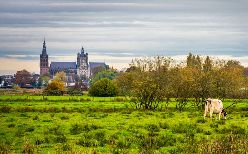 St. John's Cathedral in 's-Hertogenbosch - ©Milos - stock.adobe.com