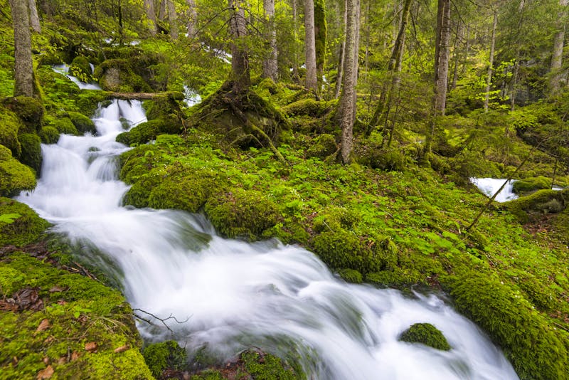Kläfferquelle - Fluss Salza bei Wildalpen - ©Sonja Jordan/imageBROKER - stock.adobe.com