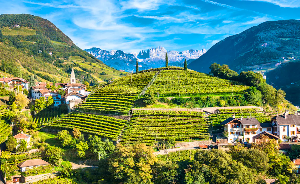 Weinanbau am Ritten bei Bozen in Südtirol &ndash; &copy; fottoo - stock.adobe.com