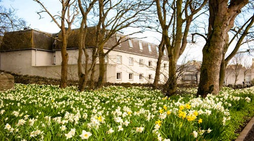 The Norseman Hotel - Außenansicht – © 2025 Norseman Hotel