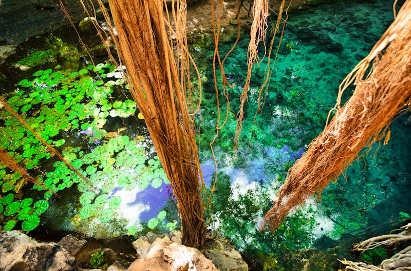 X-Batun Cenote - ©Alice Nerr - stock.adobe.com