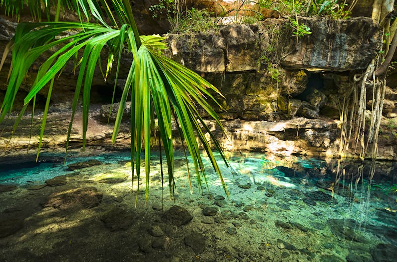 X-Batun Cenote - ©Alice Nerr - stock.adobe.com