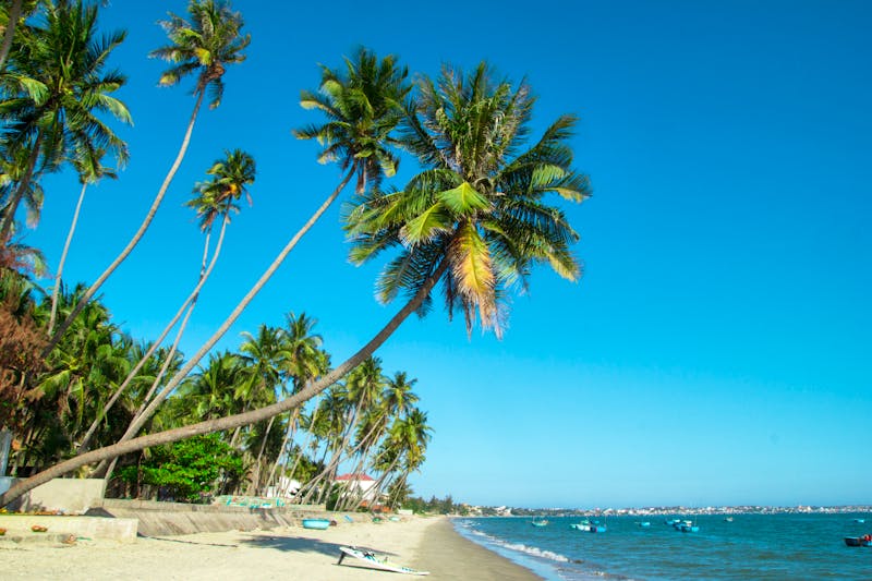 Strand von Mui Ne in Vietnam - ©Nadezhda Zaitceva - stock.adobe.com