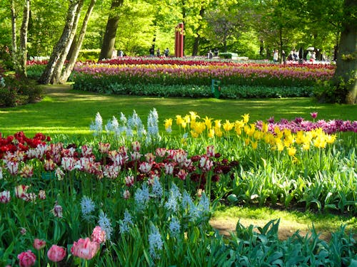 Rhein Niederlande Keukenhof 03 &ndash; &copy; nicko Cruises