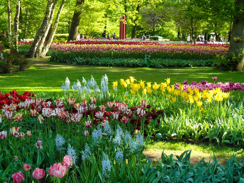 Rhein Niederlande Keukenhof 03 - ©nicko Cruises