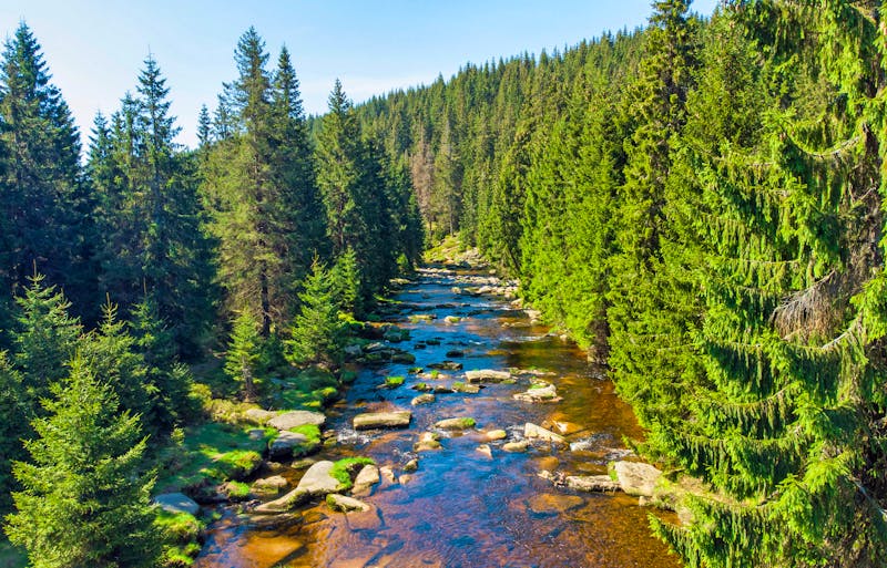 Fluss Iser an der Grenze zwischen Polen und Tschechien - ©Peter Polic - stock.adobe.com