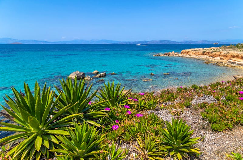 Küste der griechischen Insel Ägina - ©Rui Vale de Sousa - stock.adobe.com