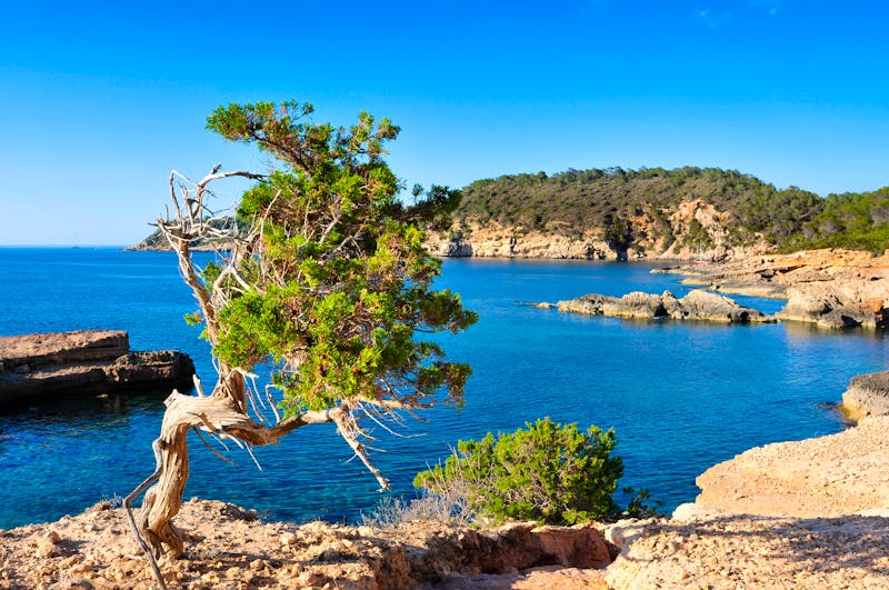 An der Nordküste von Ibiza - ©nito - stock.adobe.com