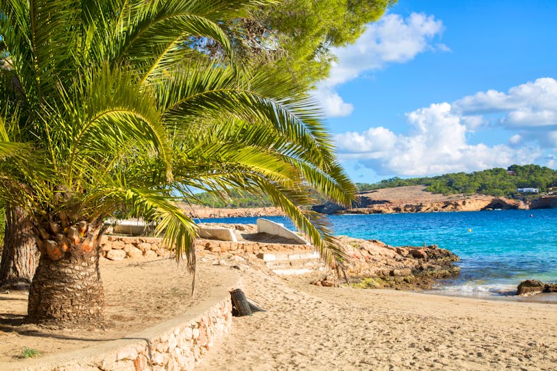 Cala Bassa auf der Insel Ibiza - ©kevers - stock.adobe.com