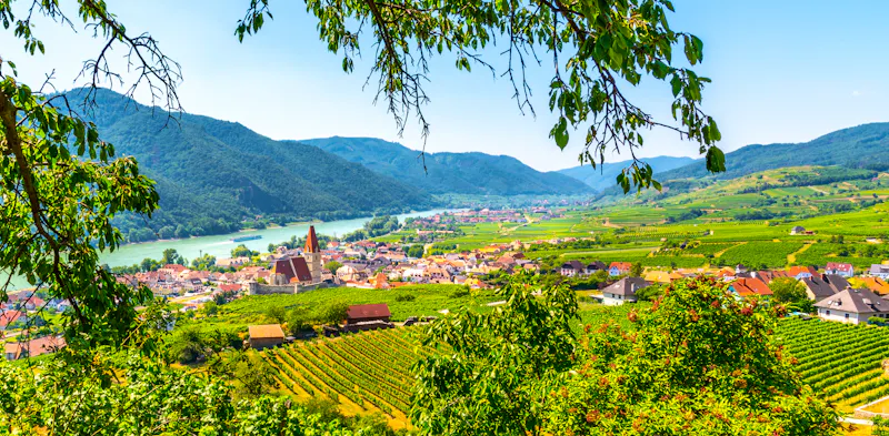 Wachau  - &copy;pyty - stock.adobe.com