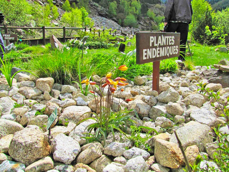 Botanischer Garten im Sorteny Naturpark - ©Jacob Spangenberg - Eberhardt TRAVEL