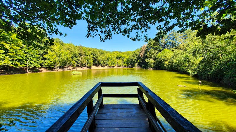 Foresta Umbra - Gargano-Nationalpark in Apulien - ©Grit Oppitz-Heineman - stock.adobe.com