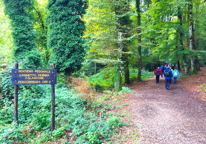 Wanderung in der Foresta Umbra - ©Claudia Hartwich - Eberhardt TRAVEL