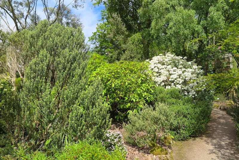 Inverewe Garden in Poolewe, Schottland - ©shorty25 - stock.adobe.com