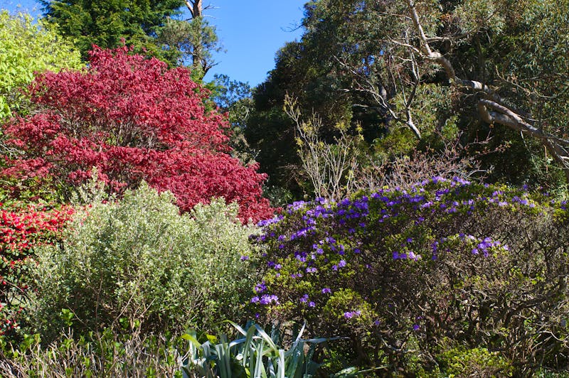 Inverewe Garden in Poolewe, Schottland - ©Kuumaur - stock.adobe.com