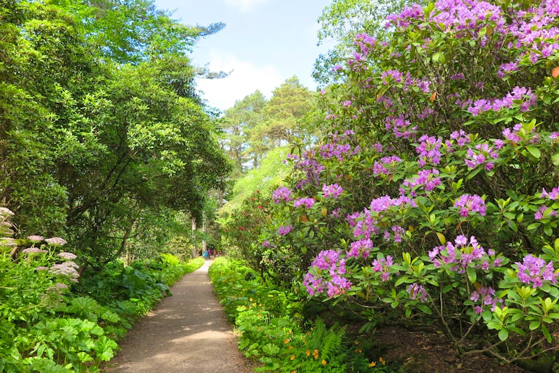 Inverewe Garden in Poolewe, Schottland - ©shorty25 - stock.adobe.com