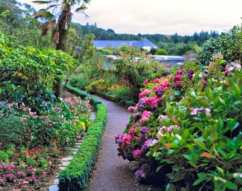 Inverewe Garden in Poolewe, Schottland - ©Ric Ergenbright/Danita Delimont - stock.adobe.com