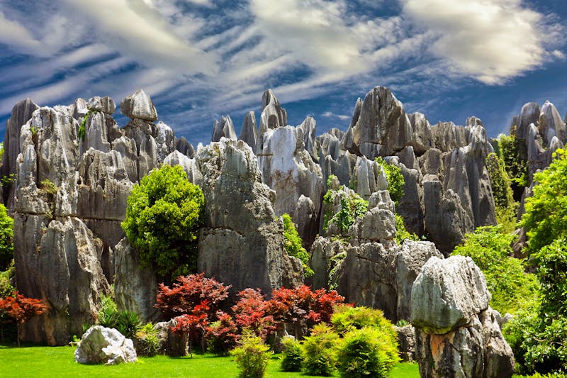 Steinwald in Yunnan, China - ©Svilen Georgiev - stock.adobe.com