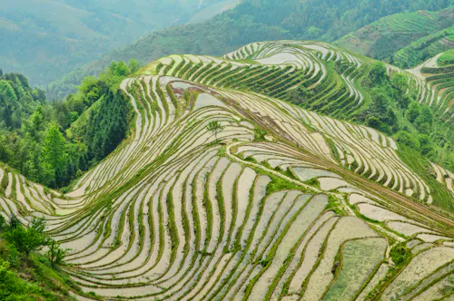 Reisterrassen von Longji in Guangxi, China &ndash; &copy; RaquelMogado - stock.adobe.com