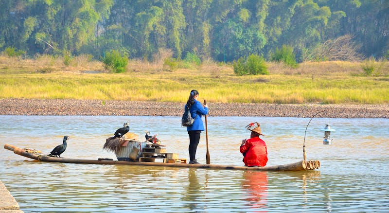 Komoranfischer auf dem Li-Fluss in Yangshuo, China - ©Jordi - stock.adobe.com