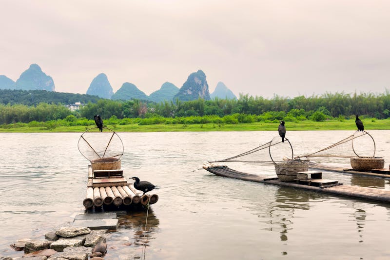 Komoranfischen auf dem Li-Fluss in Yangshuo, China - ©xamnex - stock.adobe.com