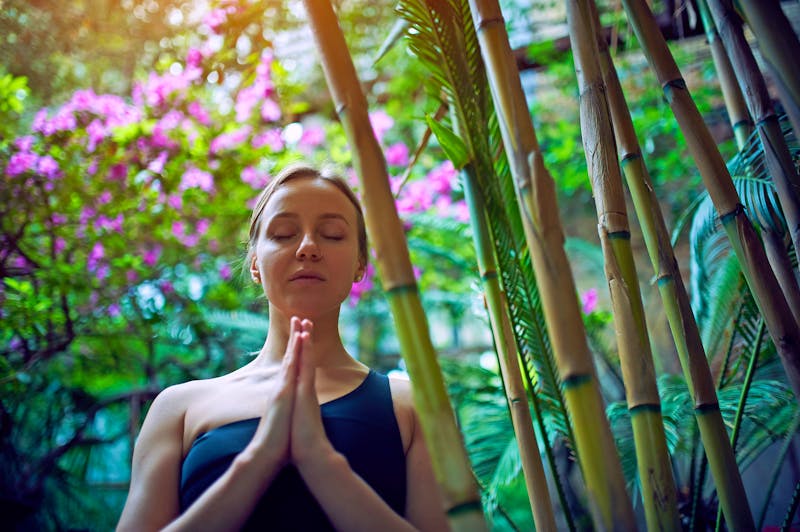 Meditation im tropischen Garten - ©sandsun - stock.adobe.com