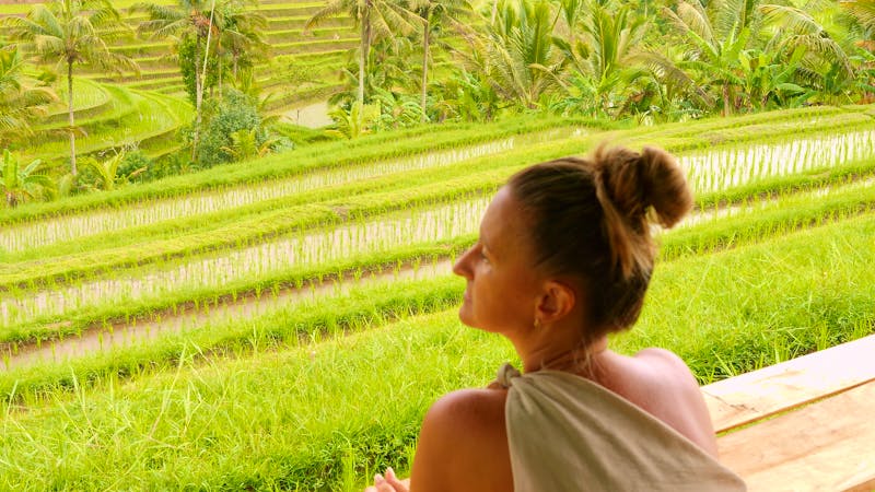 Blick auf die grünen Reisfelder von Bali - ©Traveler0205 - stock.adobe.com