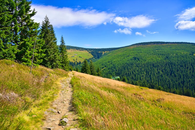 Wanderweg im Riesengebirge - ©Radko - stock.adobe.com
