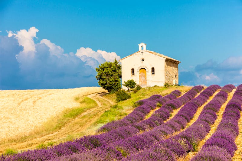 Kapelle im Plateau de Valensole der Provence in Frankreich - ©Richard Semik - stock.adobe.com