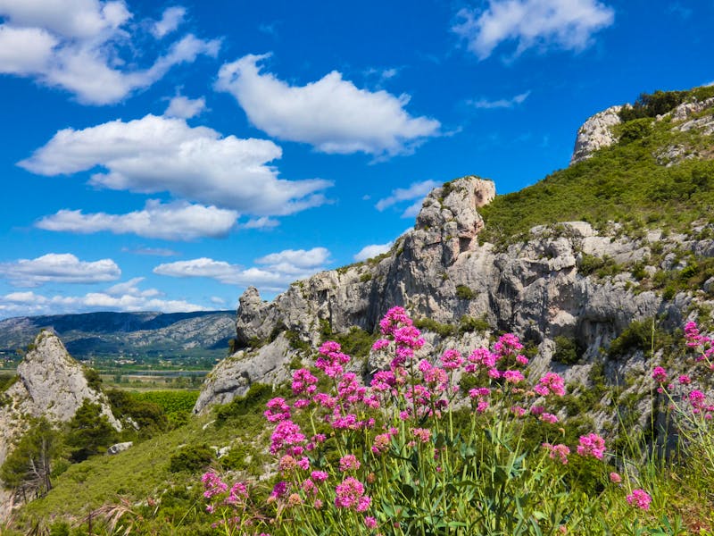Kalksteinhügel der Alpilles in Frankreich - ©Auteur   Sebastien COUTHURES