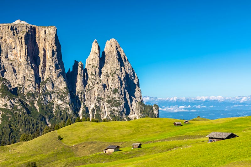 Seiser Alm im Südtirol mit Blick auf den Schlern  - ©nemo1963 - stock.adobe.com