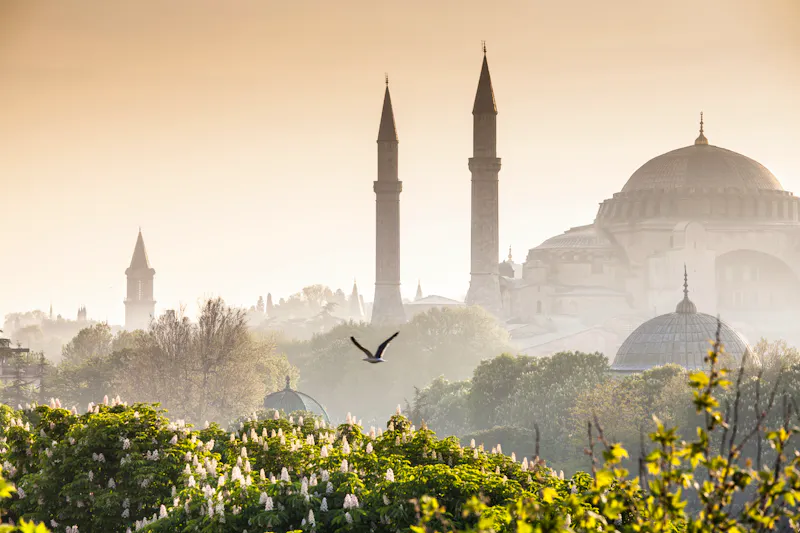 Blaue Moschee (Sultanahmet Camii) in Istanbul - &copy;travelwitness - stock.adobe.com
