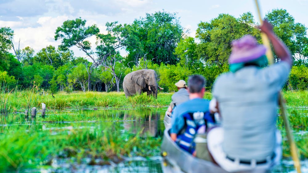 Mokoro Safari auf dem Khwai River im Okavango Delta &ndash; &copy; Jose - stock.adobe.com