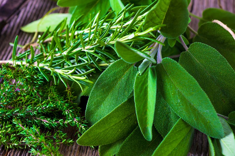 Mediterrane Kräuter - ©Daniel Vincek - stock.adobe.com