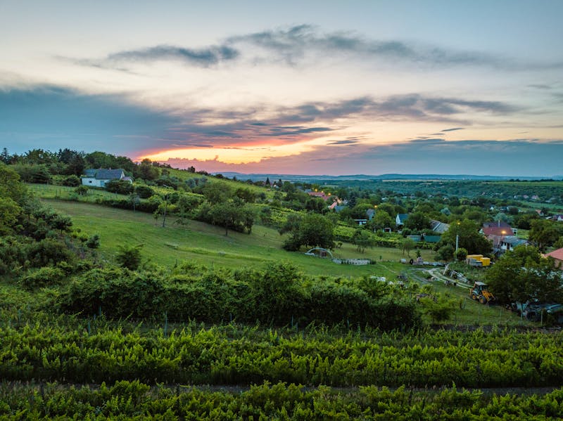 Weindorf Etyek in Ungarn - ©SAndor - stock.adobe.com