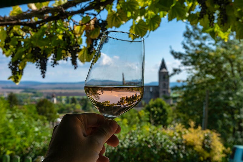 Tasting im Weindorf Etyek in Ungarn - ©Miklos Greczi - stock.adobe.com