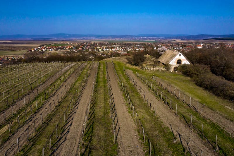 Weindorf Etyek in Ungarn - ©nyul - stock.adobe.com